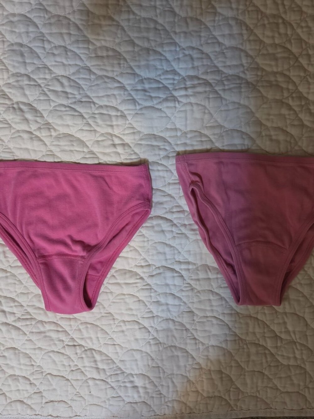 Set of 2 Hanna Andersson 100% Organic Cotton Underwear Size L